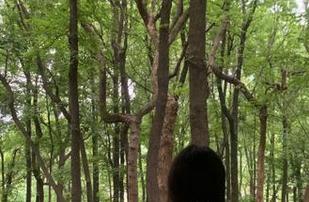 51吃瓜视频网址，让我看看那些被隐藏的惊天大瓜！