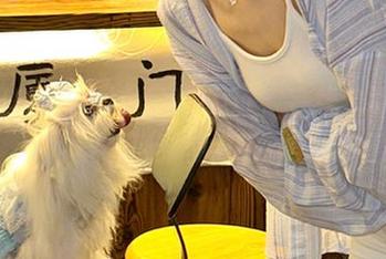 今日吃瓜91：在线追剧，瓜皮都剥到没得吃了！