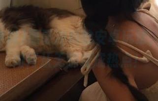 黑哥冲料的安卓玩法，看玩偶如何从无聊变成热点！