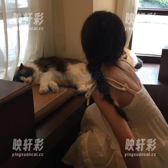 黑哥冲料 黑哥冲料的安卓玩法,看玩偶如何从无聊变成热点!