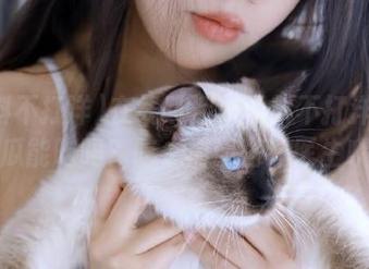 在线趴活：黑料不打洋！这瓜能吃吗？吃之前请咨询医生哦