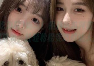 妈呀！黑料吃瓜网首页下载超简单，轻轻松松变吃瓜达人！